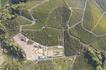 2020年ごま農園の上空写真