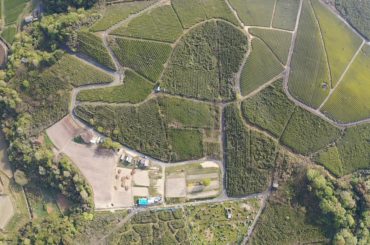 2020年ごま農園の上空写真